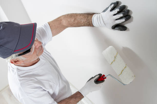 Best Mold Documentation for Insurance Claims  in Glespie, IL