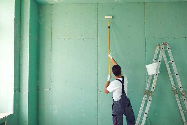 Best Dehumidification Services  in Glespie, IL