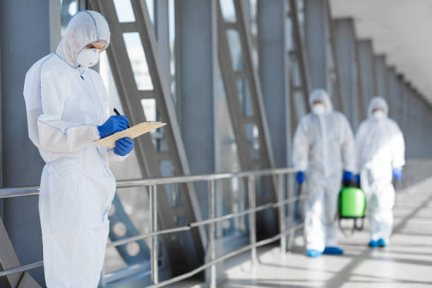 Best Mold-Related Health Consultation  in Glespie, IL