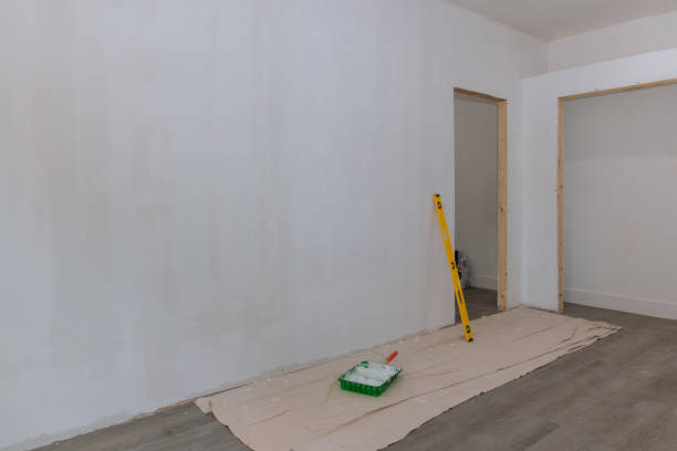 Best Residential Mold Inspection & Testing  in Glespie, IL