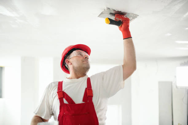 Best Black Mold Removal  in Glespie, IL