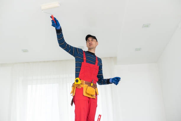 Best Environmental Consulting for Mold Prevention  in Glespie, IL