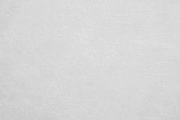 Best Basement Mold Removal  in Glespie, IL