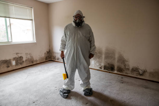 Best Airborne Mold Testing  in Glespie, IL