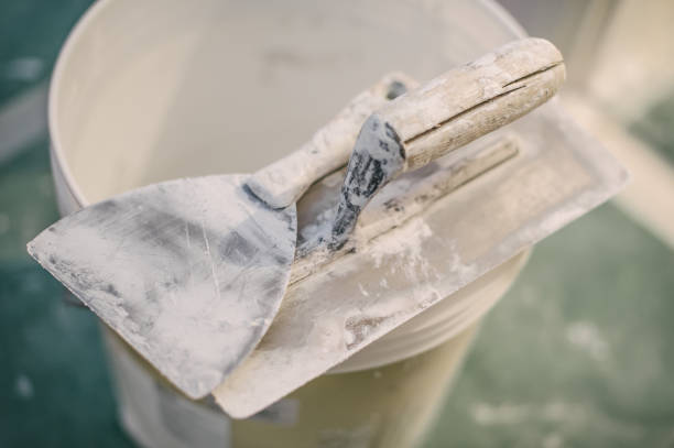 Mold Odor Removal Services in Gillespie, IL
